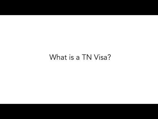 What is a TN Visa?
