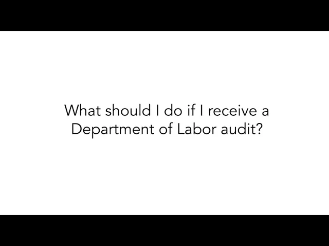 What should I do if I receive a Department of Labor audit