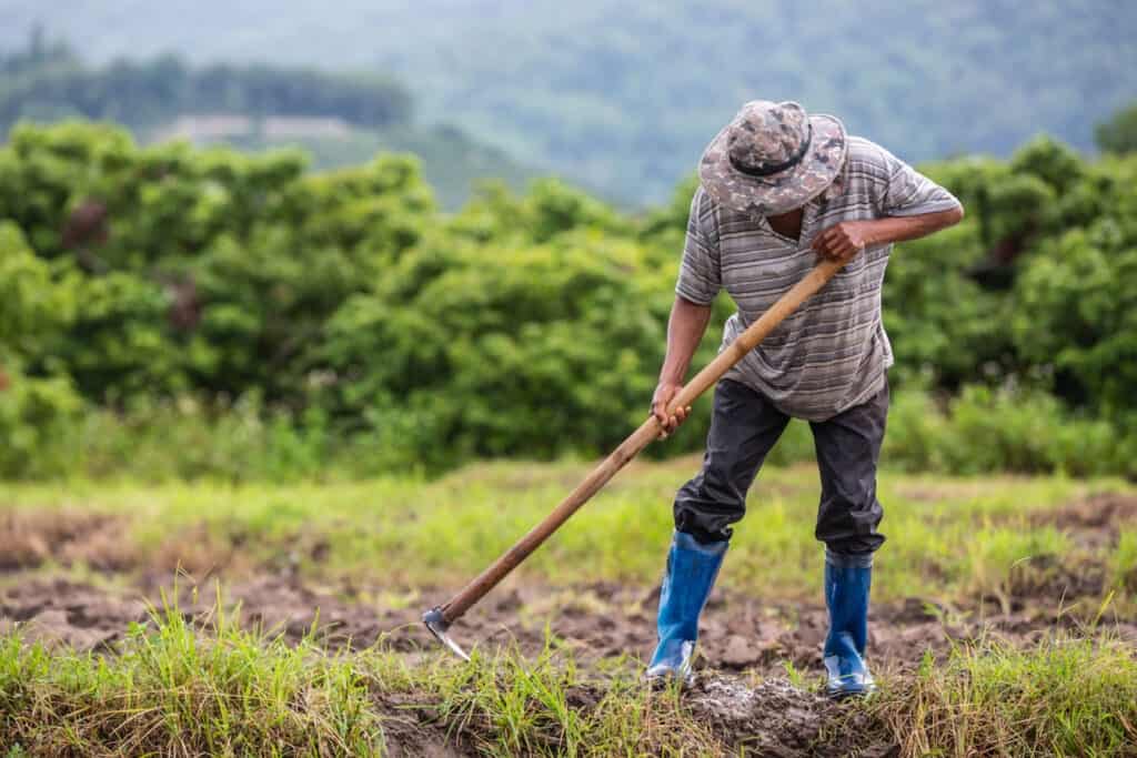 Benefits Of Hiring Legal Labor For Agricultural Employers