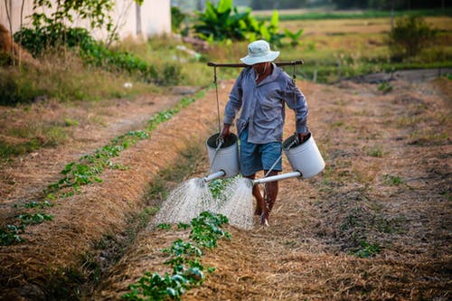 The H-2A Visa Application Process for Farm Workers